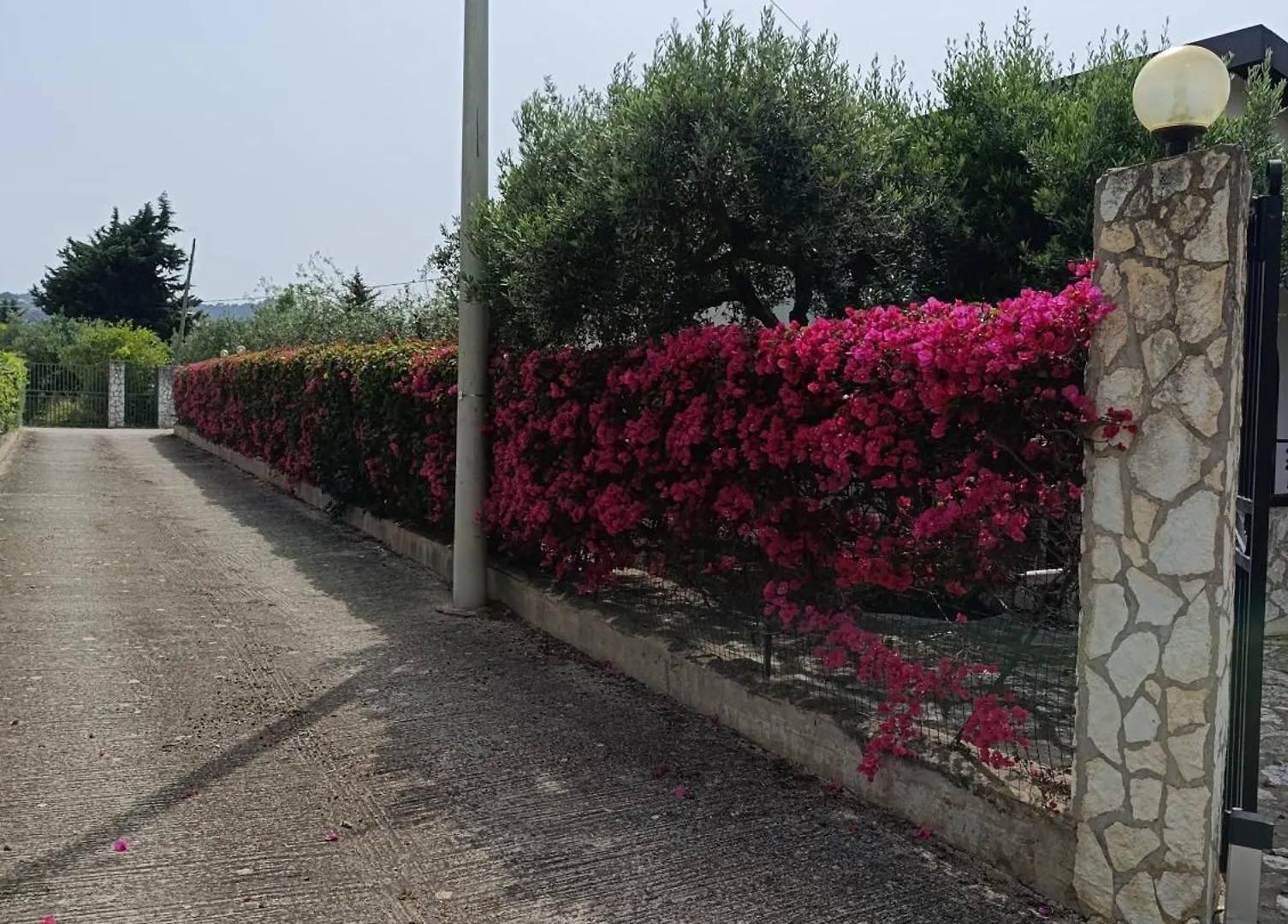 Villa Il Giardino Di Rosa- 5 Min From The Sea-Fraginesi Кастелламмаре-дель-Голфо 0*,