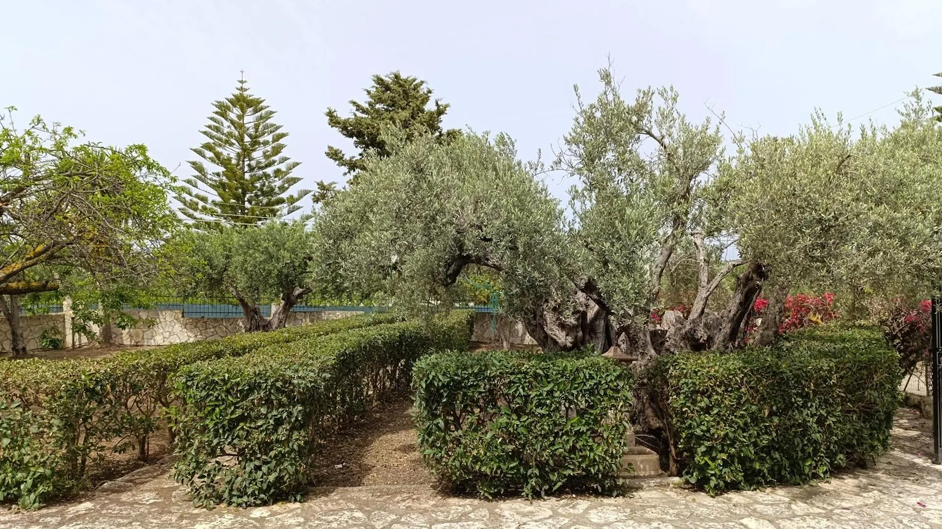 Villa Il Giardino Di Rosa- 5 Min From The Sea-Fraginesi Кастелламмаре-дель-Голфо